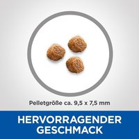 Hill's Vet Essentials Multi-Benefit Medium Puppy Dry Food with Chicken