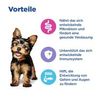 Hill's Vet Essentials Multi-Benefit Small & Mini Puppy Dry Food with Chicken