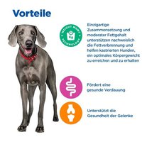 Hill's Vet Essentials Multi-Benefit + Weight Adult Large Dry Dog Food With Chicken