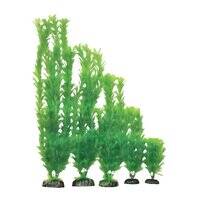 Hugo Kamishi Egeria Aquarium Plant Decor