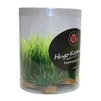 Hugo Kamishi Miniature Foreground 2 Tub of 10 Aquarium Decor