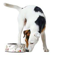 Hunter Melamine Mogami Dog Bowl