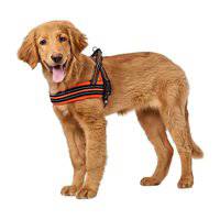 Hunter Meldal Dog Harness