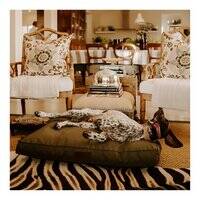 Huntlea Kalahari Orthopaedic Dog Bed - SAND/82X62CM