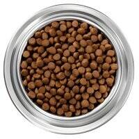 Instinct Be Natural Kibble Beef And Barley Dry Dog Food