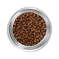 Instinct Be Natural Kibble Lamb And Oatmeal Dry Dog Food