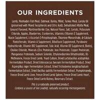 Instinct Be Natural Kibble Lamb And Oatmeal Dry Dog Food