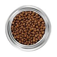 Instinct Limited Ingredient Diet Grain Free Recipe Lamb Dry Dog Food
