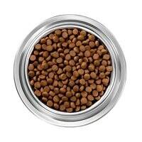 Instinct Original Grain Free Salmon Dry Cat Food