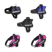 هارنس باور جوليوس-كي9 للكلاب