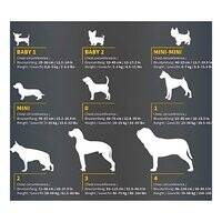 Julius-K9 Power Harness for Dogs