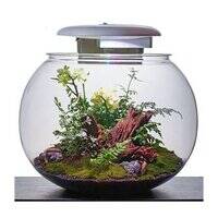 Katachi Lifestyle Kyu Acrylic Globe 37L Aquarium