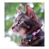 Kittyrama Botanical Fern Cat Collar
