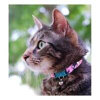Kittyrama Botanical Fern Kitten Collar