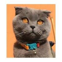 Kittyrama Copacabana Cat Collar