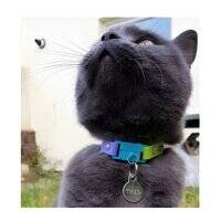 Kittyrama Tahiti Cat Collar