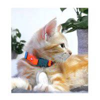 Kittyrama Tangerine Kitten Collar