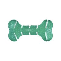 Kong Squeezz Dental Bone Dog Toy 301348