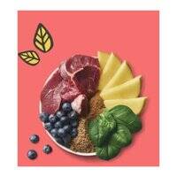 Lily's Kitchen Beef on the Go Bars for Dogs 40G