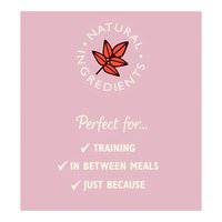 Lily's Kitchen Chicken and Salmon Nibbles Puppy Treats 70G