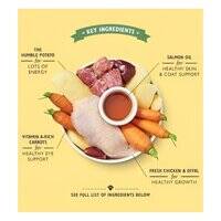 Lily's Kitchen Chicken Recipe Puppy Food 150G