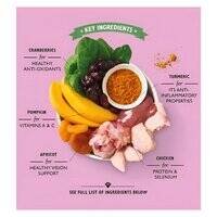 Lily's Kitchen Coronation Chicken Wet Dog Food 150G