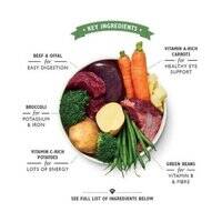 Lily's Kitchen Dog Cottage Pie Wet Dog Food 150G