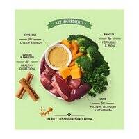 Lily's Kitchen Dog Tagine Wet Food 150G