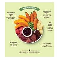 Lily's Kitchen Lamb Hotpot Wet Dog Food 400G