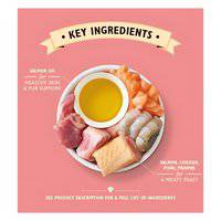 Lily's Kitchen Salmon And Chicken Pate Wet Cat Food 85G