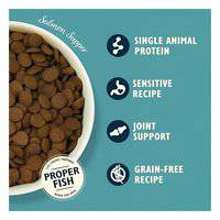 Lily's Kitchen Salmon Supper Adult Dog Dry Food