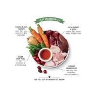 Lily's Kitchen Senior Recipe Dog Wet Food 400G