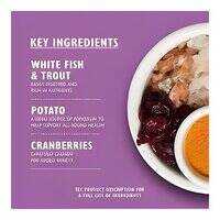 Lily's Kitchen Senior Recipe White Fish with Turkey And Trout Dry Cat Food