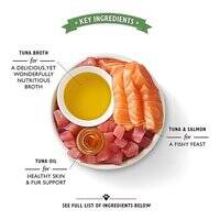 Lily's Kitchen Shredded Fillets Multipack Wet Cat Food 8x70G