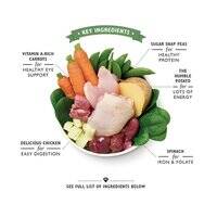 Lily's Kitchen Sunday Lunch Wet Dog Food 150G