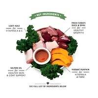 Lily's Kitchen Turkey And Duck Recipe Puppy Wet Food 150G