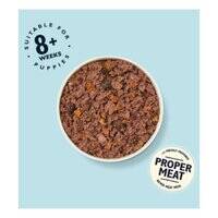 Lily's Kitchen Turkey And Duck Recipe Puppy Wet Food 400G