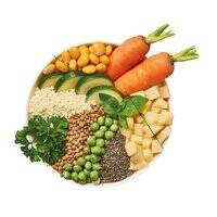 طعام الكلاب الرطب النباتي من ليليز كيتشن، حساء قوس قزح، 400 غرام