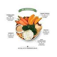 طعام الكلاب الرطب من ليليز كيتشن، وجبة نباتية صحية، 375 غرام