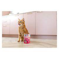 Little BigPaw Gourmet Atlantic Tuna Mousse Wet Cat Food 85g