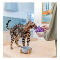 Little BigPaw Gourmet Tender Duck Mousse Wet Cat Food 85g