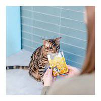 Little BigPaw Gourmet Tender Turkey Mousse Wet Cat Food 85g