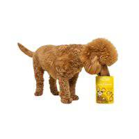 Little BigPaw Traditional Turkey & Vegetable Dinner Wet Dog Food 150g