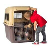 Magnum Airline Compliant Dog Crate