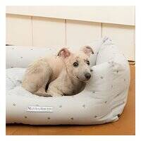Mutts And Hounds Grey Stars Boxy Bed for Dogs