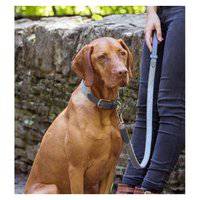 مقود كلب من نوع تويد ستونهام الواسع من موتس آند هاوندز