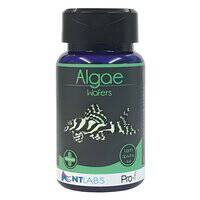NT Labs Algae Wafers Fish Food