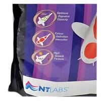 NT Labs Medikoi Probiotic Growth Junior 3mm Fish Food