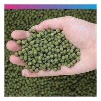 NT Labs Medikoi Staple with Colour Enhancer Fish Food