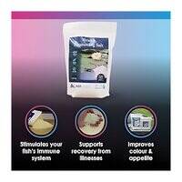 NT Labs Pond Salt Plus